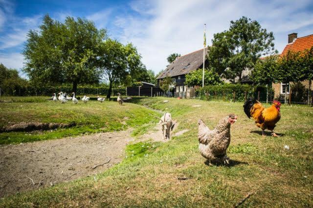 Vakantiewoning - Kon. Emmaweg 26 | Vrouwenpolder 'Uitspanning Oranjezon' Exterior foto