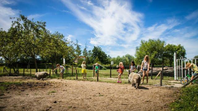 Vakantiewoning - Kon. Emmaweg 26 | Vrouwenpolder 'Uitspanning Oranjezon' Exterior foto
